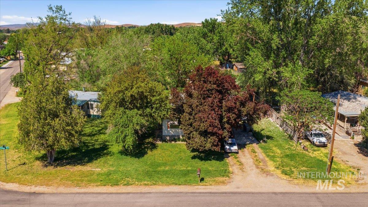 Properties featuring mature trees and a gravel driveway