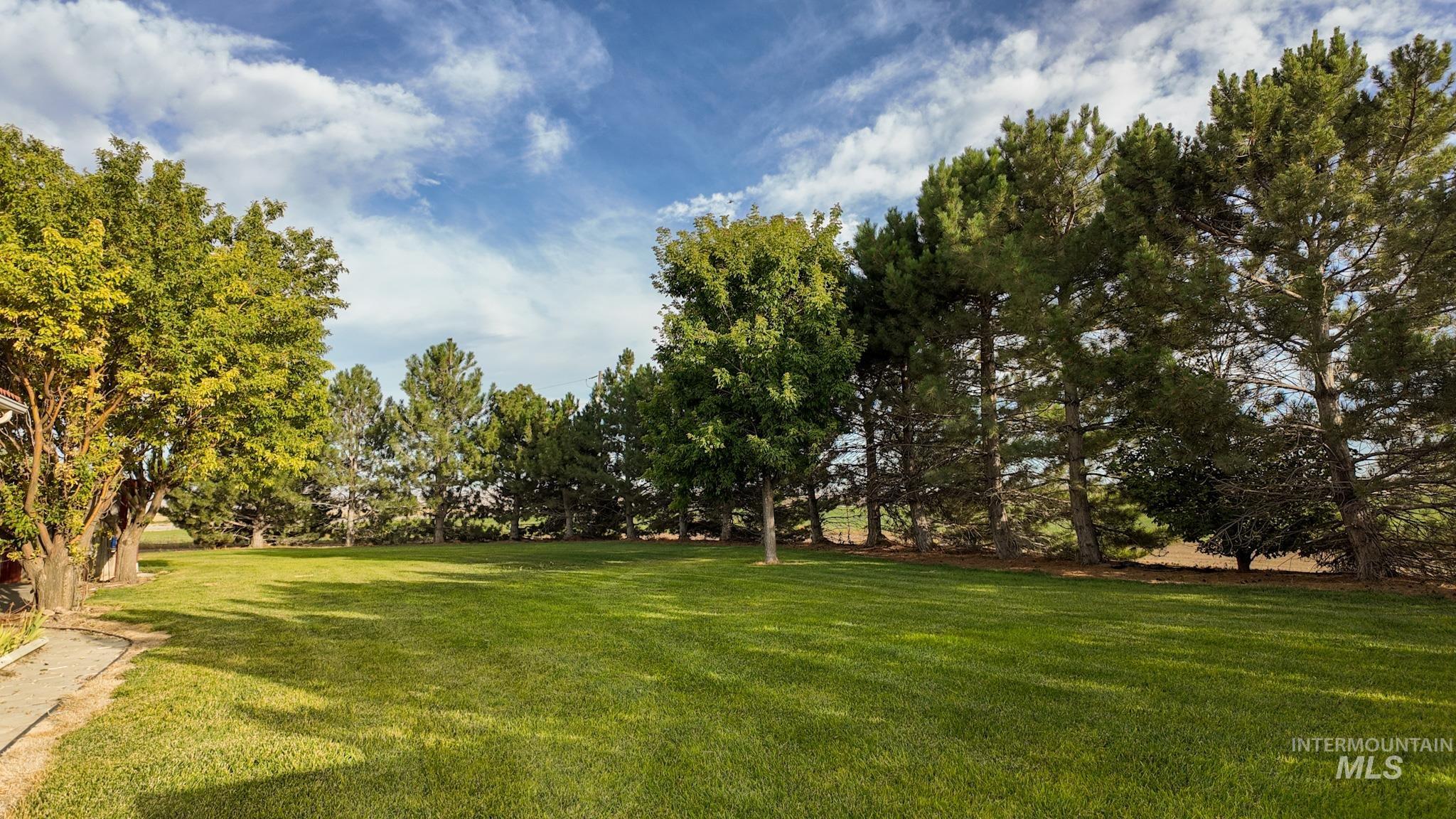 View of grassy yard featuring view of wooded area