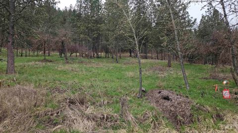 Photo of TBD Pine St Blk 56, Lot 3, Peck, ID 83545 (MLS # 98908760)