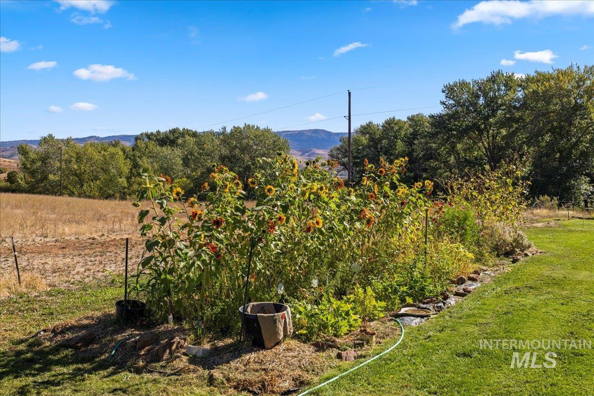 View of green lawn featuring a mountain view