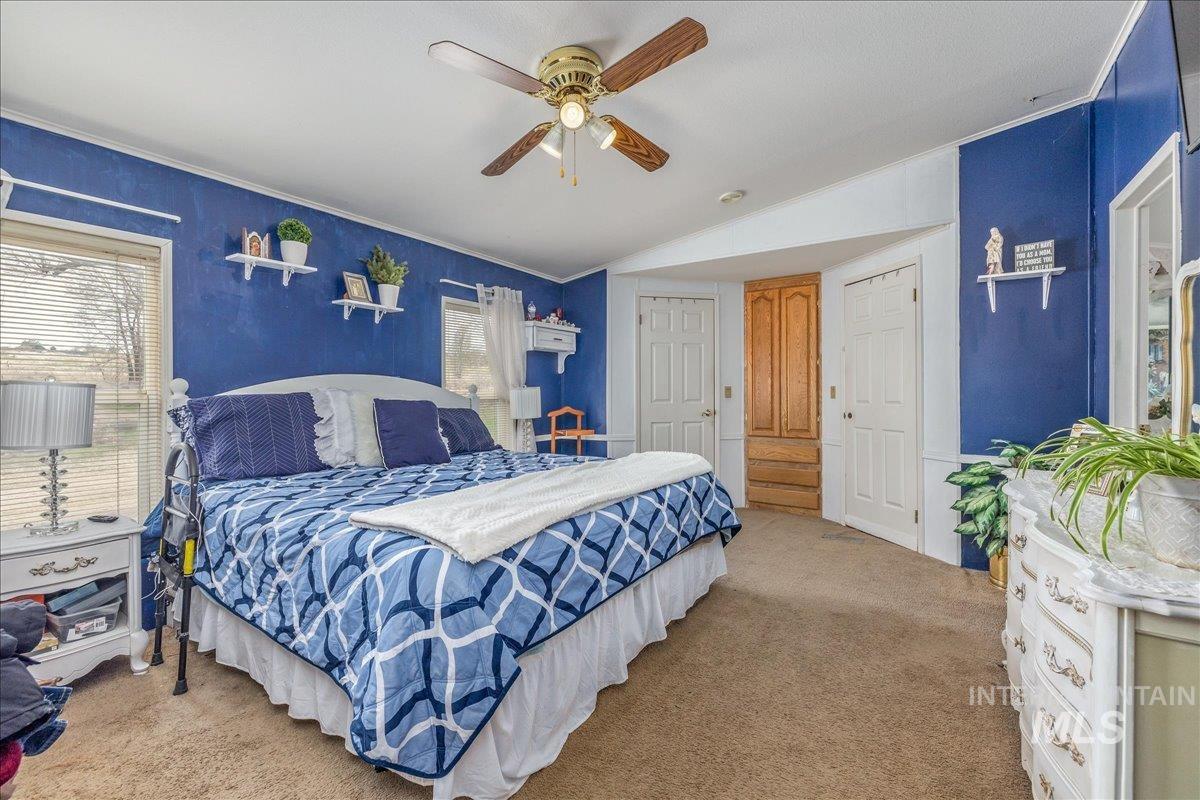 Carpeted bedroom with multiple windows and ceiling fan