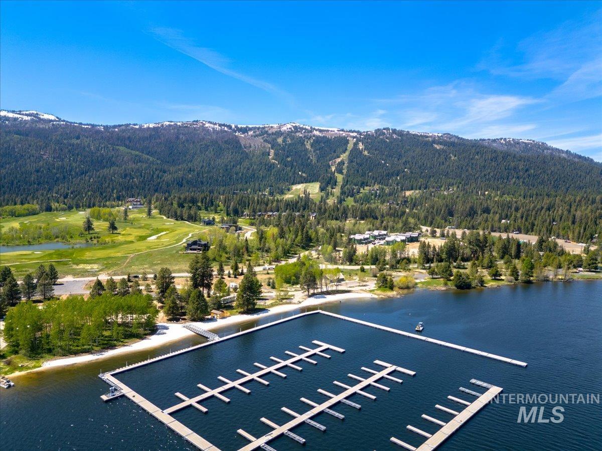 Expansive marina featuring multiple boat slips, set against a backdrop of a forested mountain range with snow-capped peaks