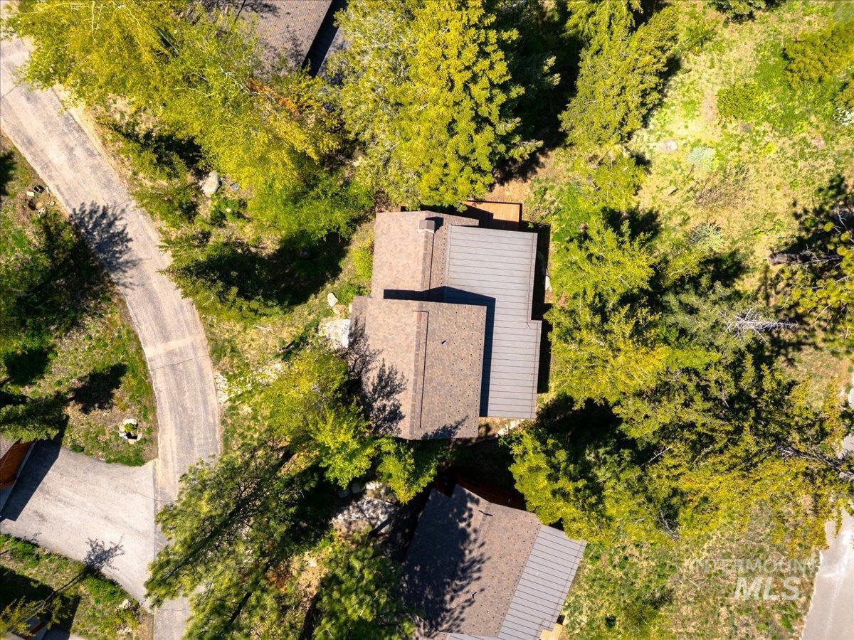 Residential property featuring shingle and metal roofing, surrounded by mature evergreen trees and a paved driveway
