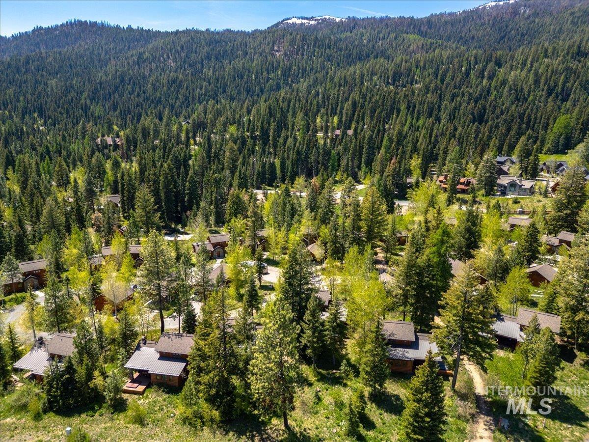 Community of homes nestled among dense forests and mountainous terrain