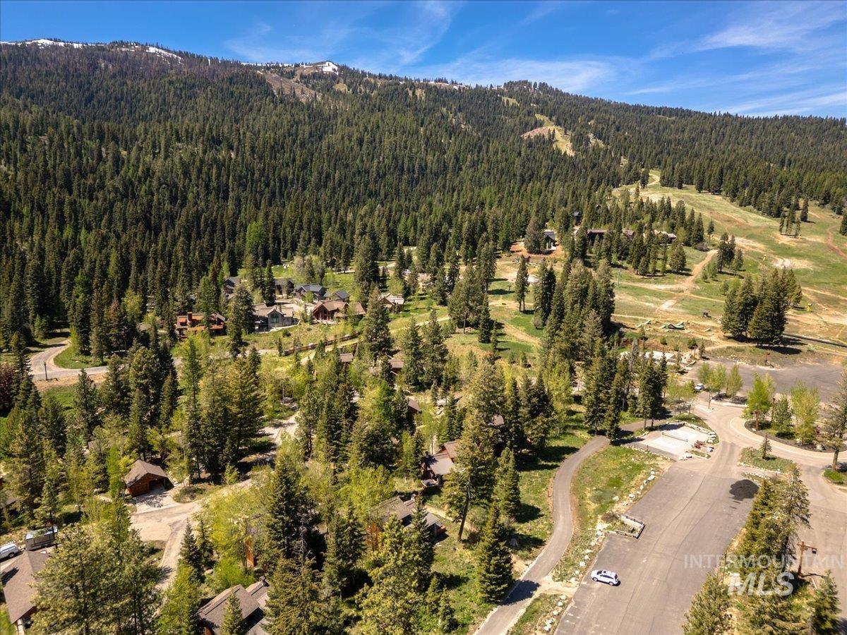 Mountain landscape featuring dense evergreen forests and scattered residential properties