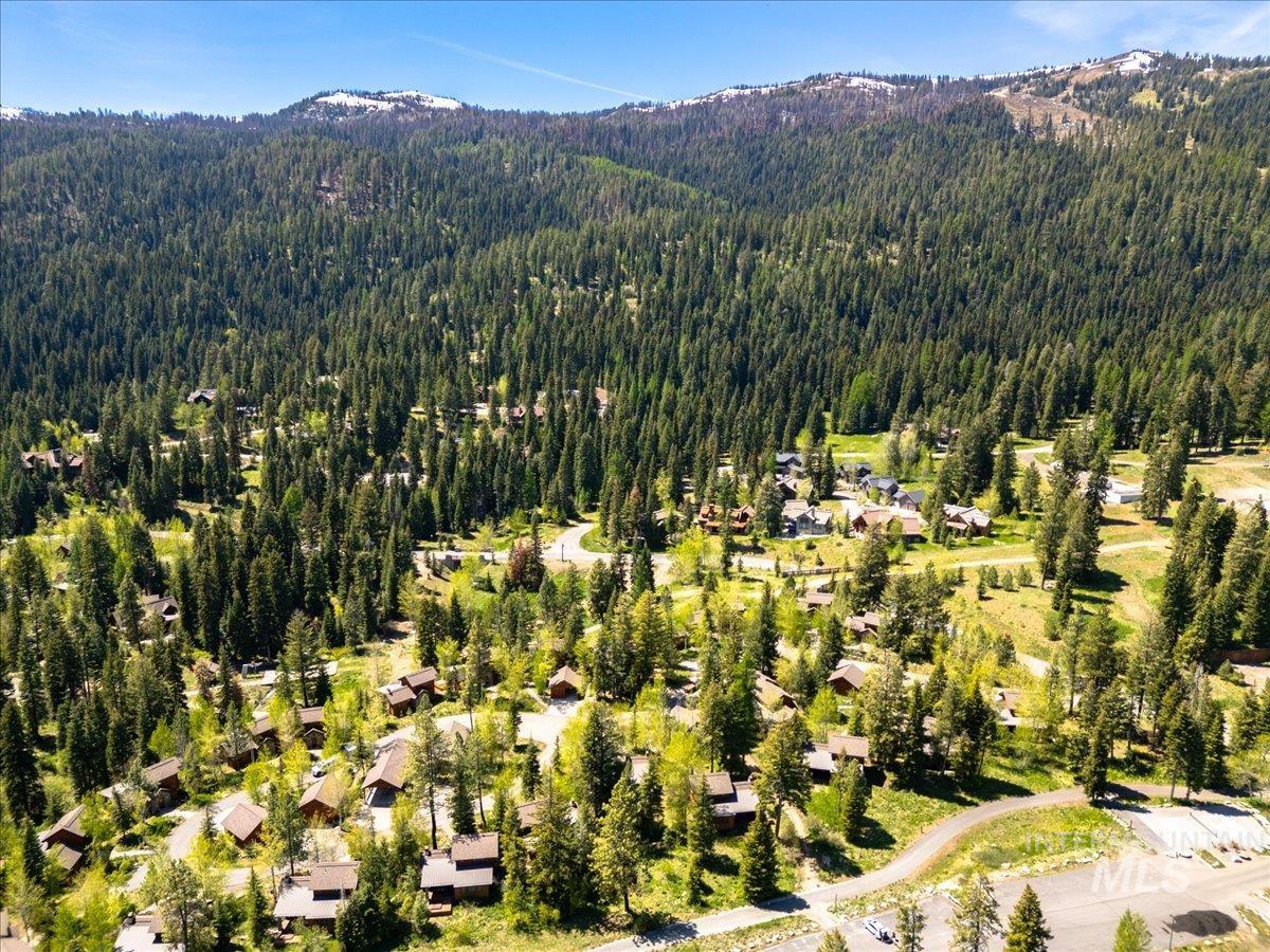 Aerial perspective showcasing a community nestled within a dense forest