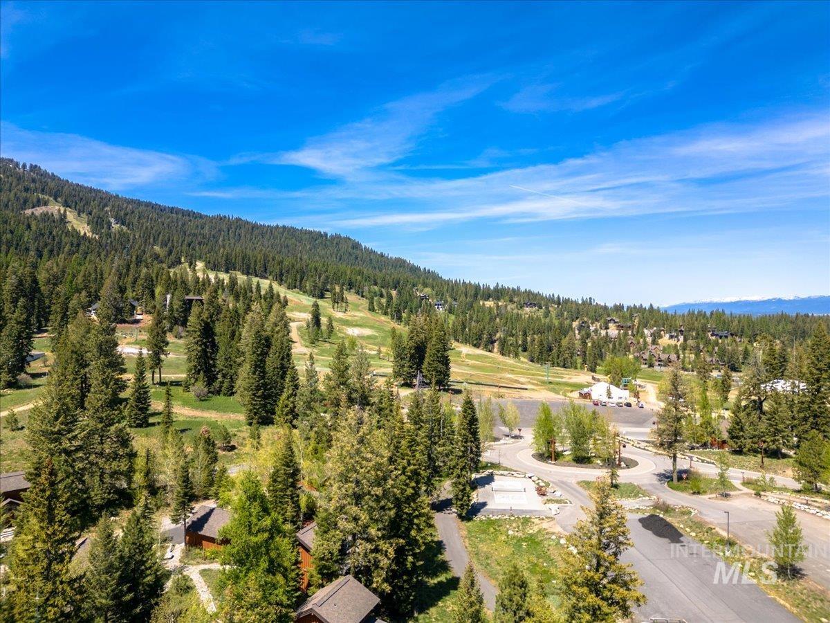 Mountainous landscape featuring extensive evergreen tree coverage, sloping terrain, and distant peaks
