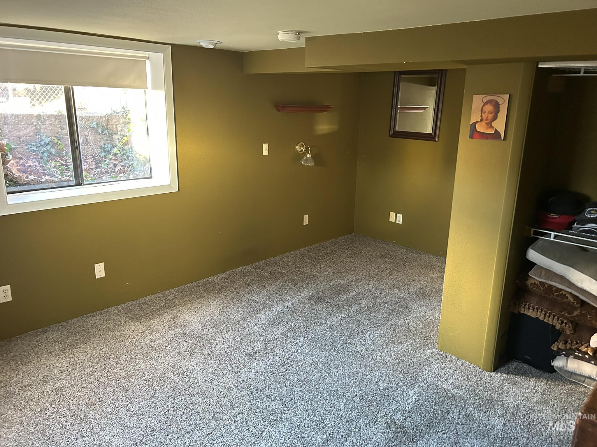 Basement featuring carpet floors