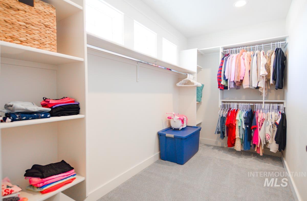 Walk-in closet with carpet flooring, built-in shelving, hanging rods, and transom windows