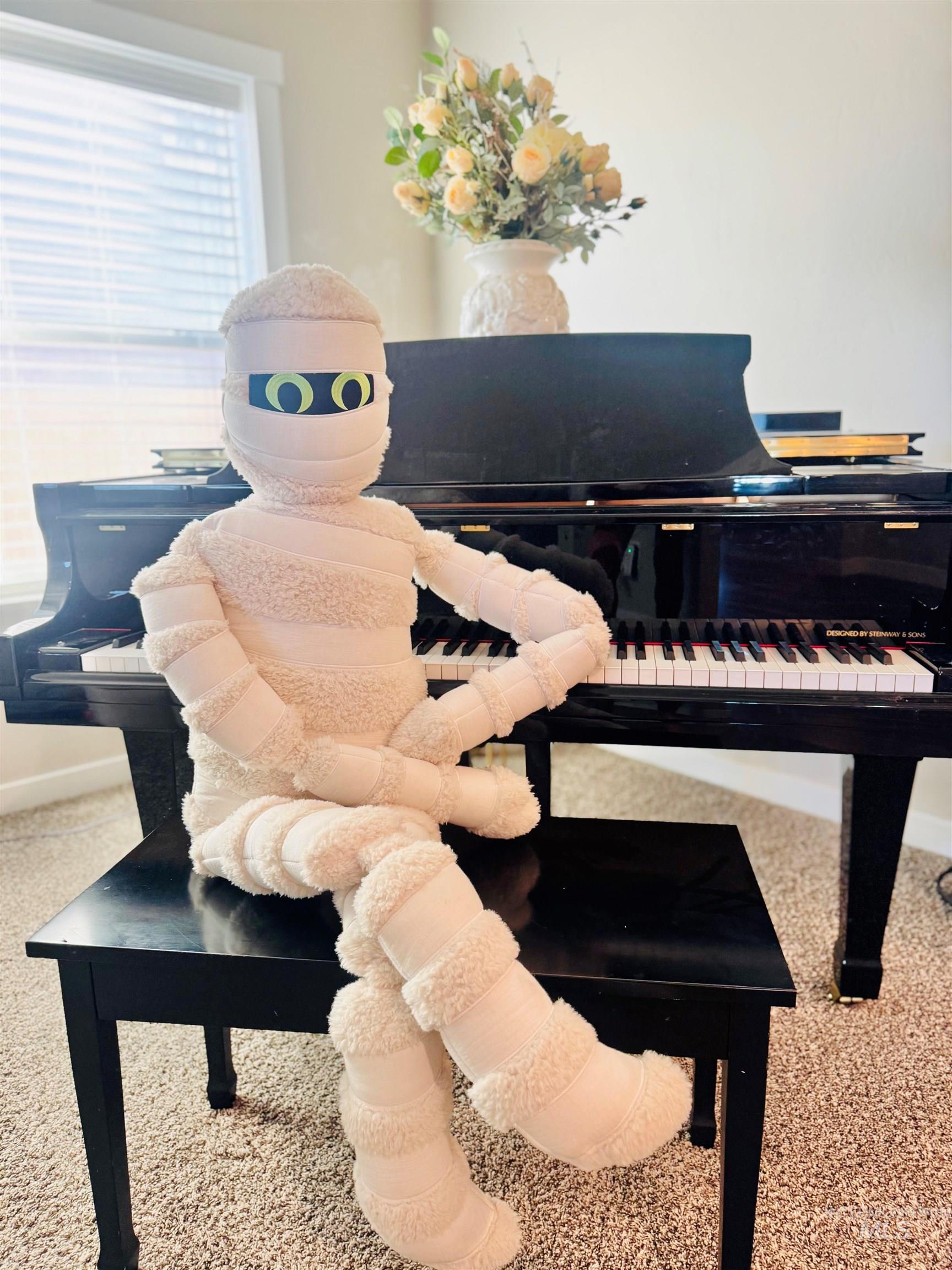 15828 N Freestone Way