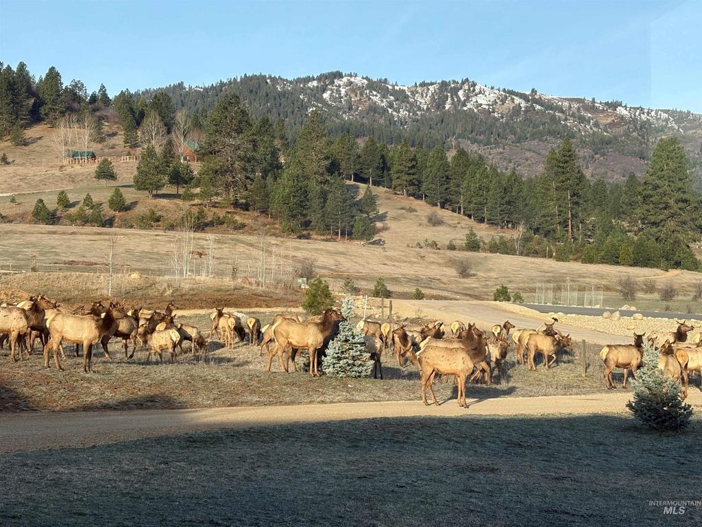 Photo of 14 Bobcat Court, Garden Valley, ID 83622 (MLS # 98978773)