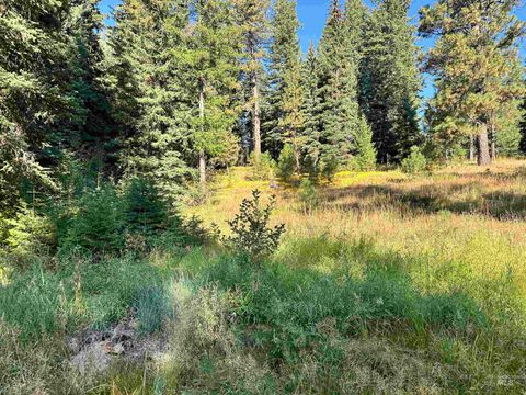 Photo of 2195 Davy Rd, Donnelly, ID 83615 (MLS # 98962332)