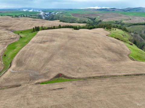 TBD Younger Rd Craigmont ID 83523