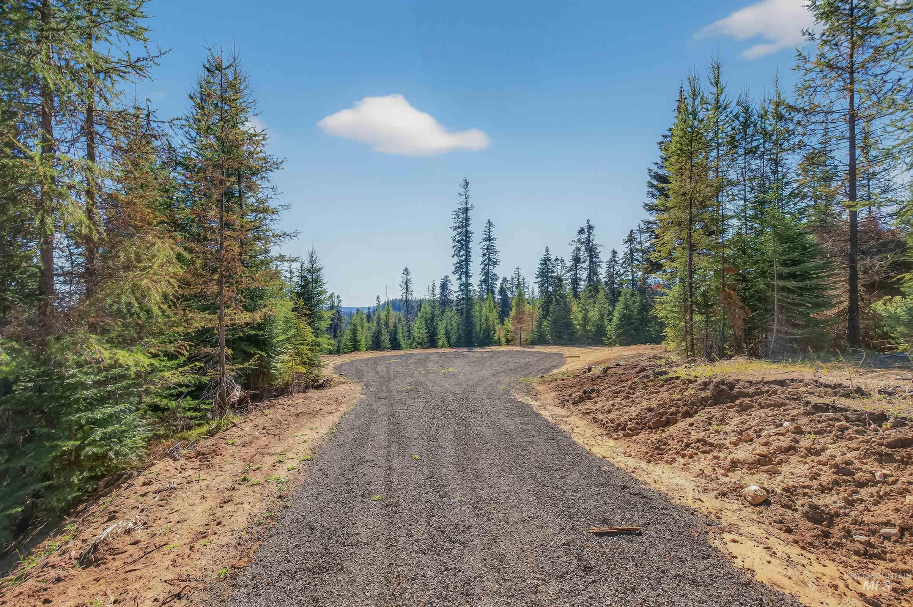 TBD Parcel 3 Tree Farm Trails Road