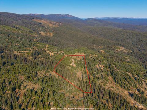 Photo of 3 Tree Farm Trails Road, Elk City, ID 83525 (MLS # 98954270)