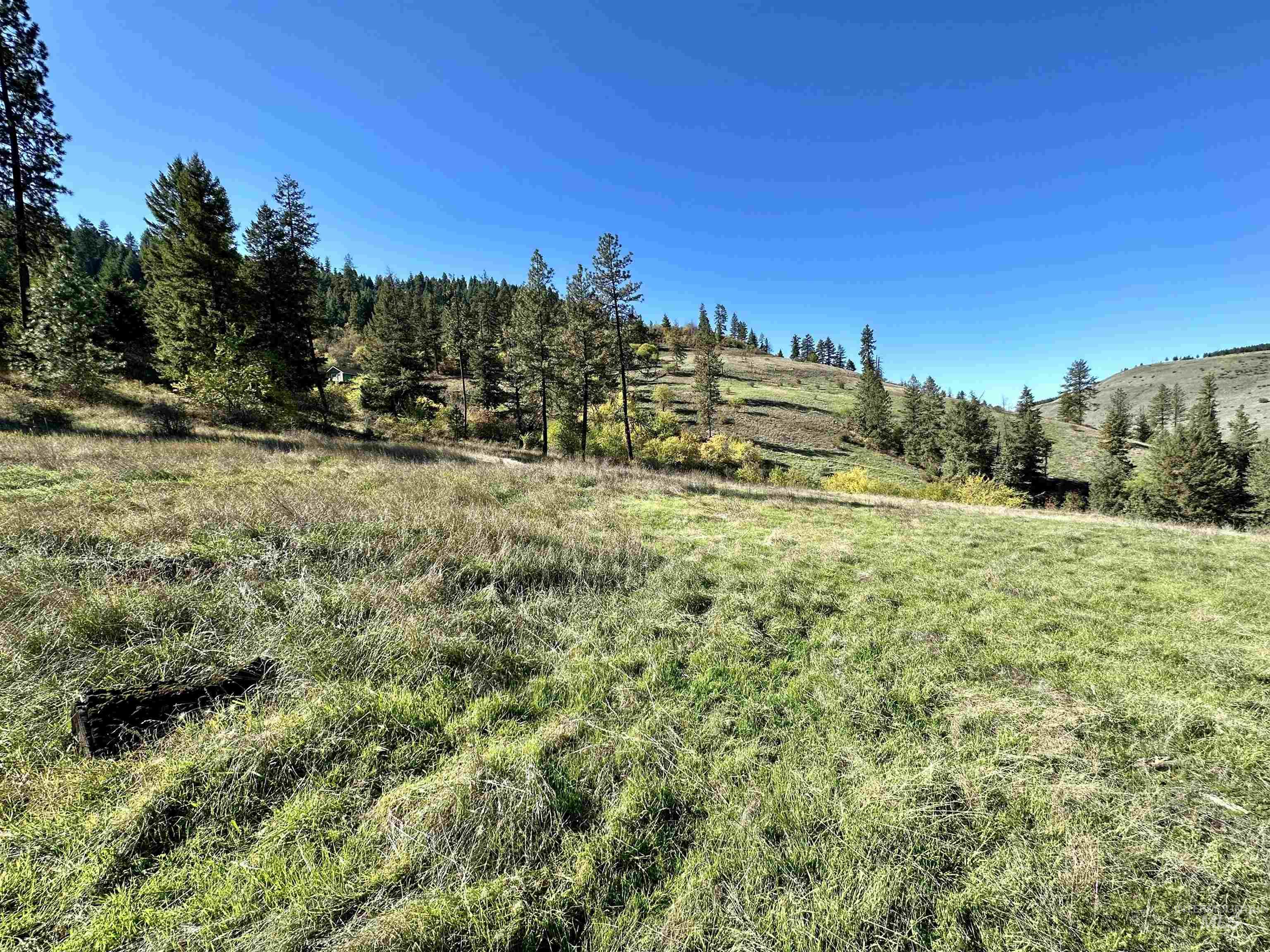 Lot 8 Blk B Elk Meadows Sub-div, Kooskia, Idaho image 9