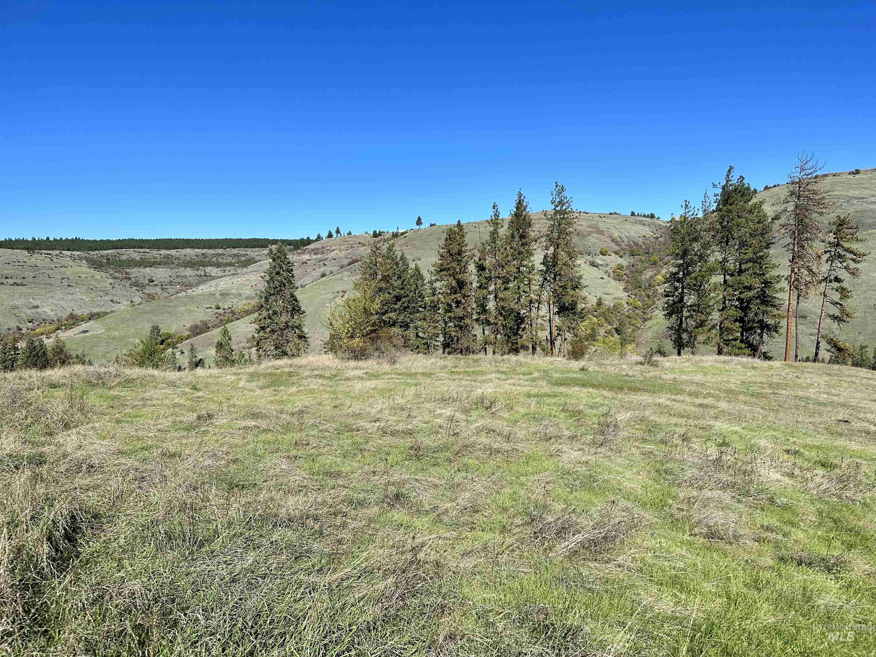 Lot 8 Blk B Elk Meadows Sub-div, Kooskia, Idaho image 6