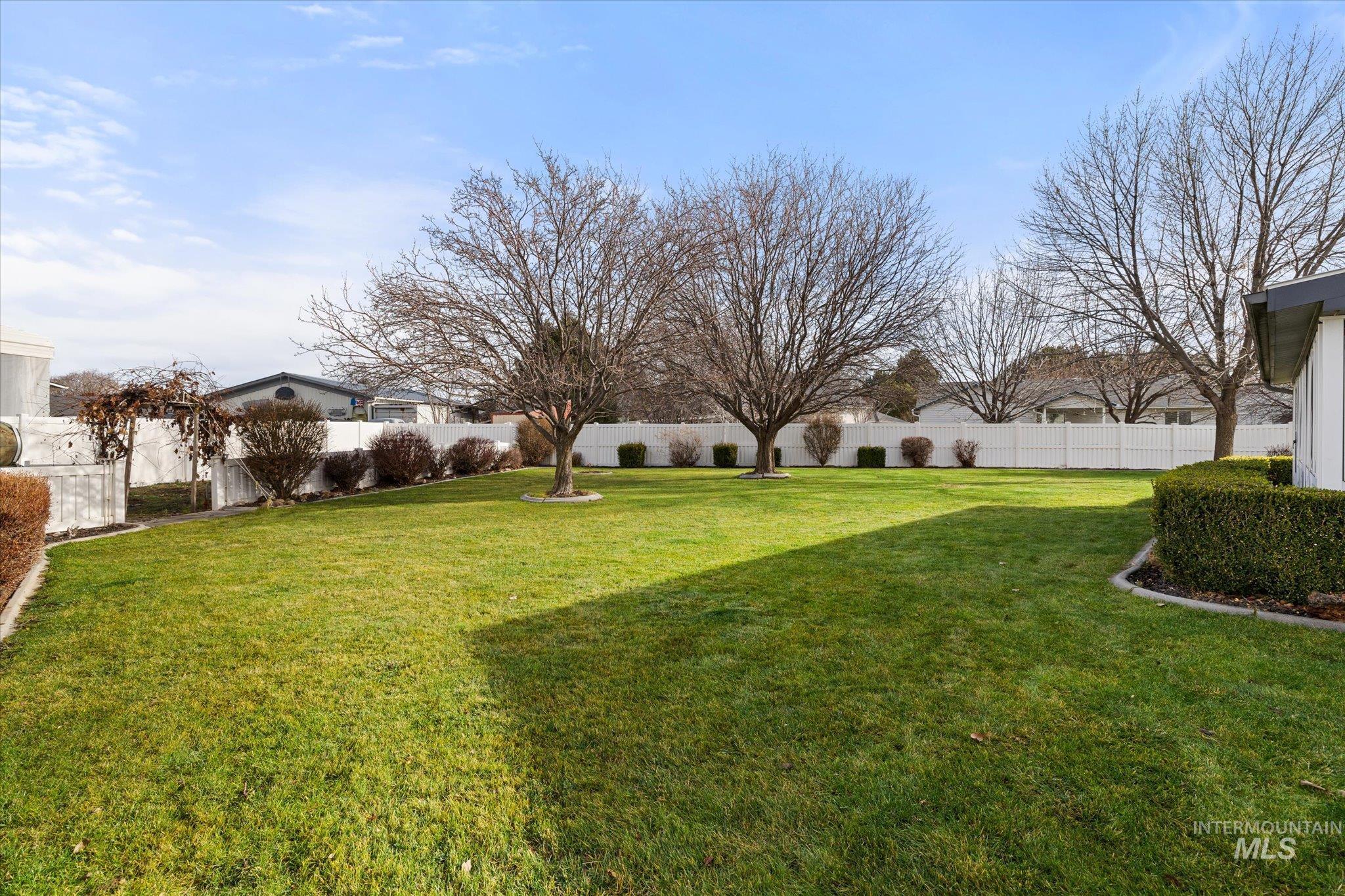 View of fenced backyard