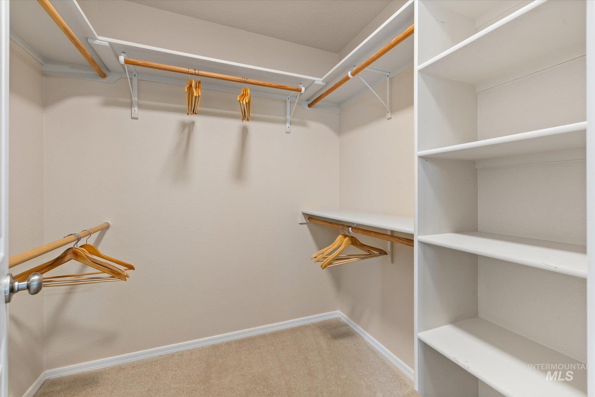 Walk in closet with light carpet