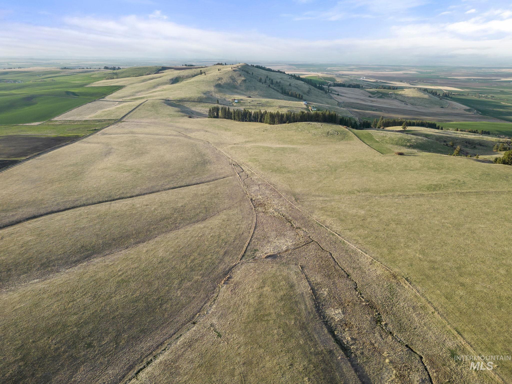 TBD Reservation Line Rd, CottonWood, Idaho image 8