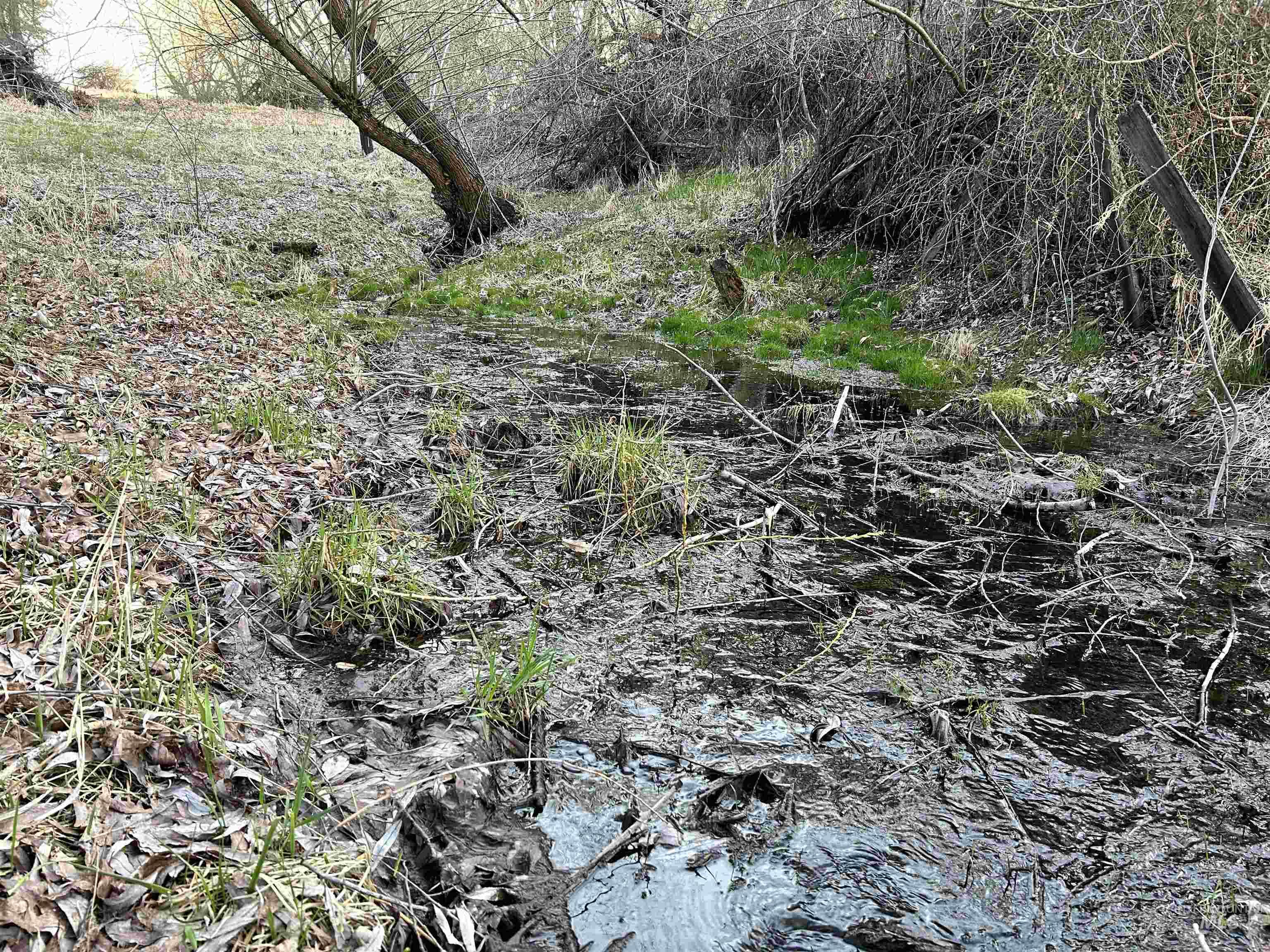 TBD Reservation Line Rd, CottonWood, Idaho image 31