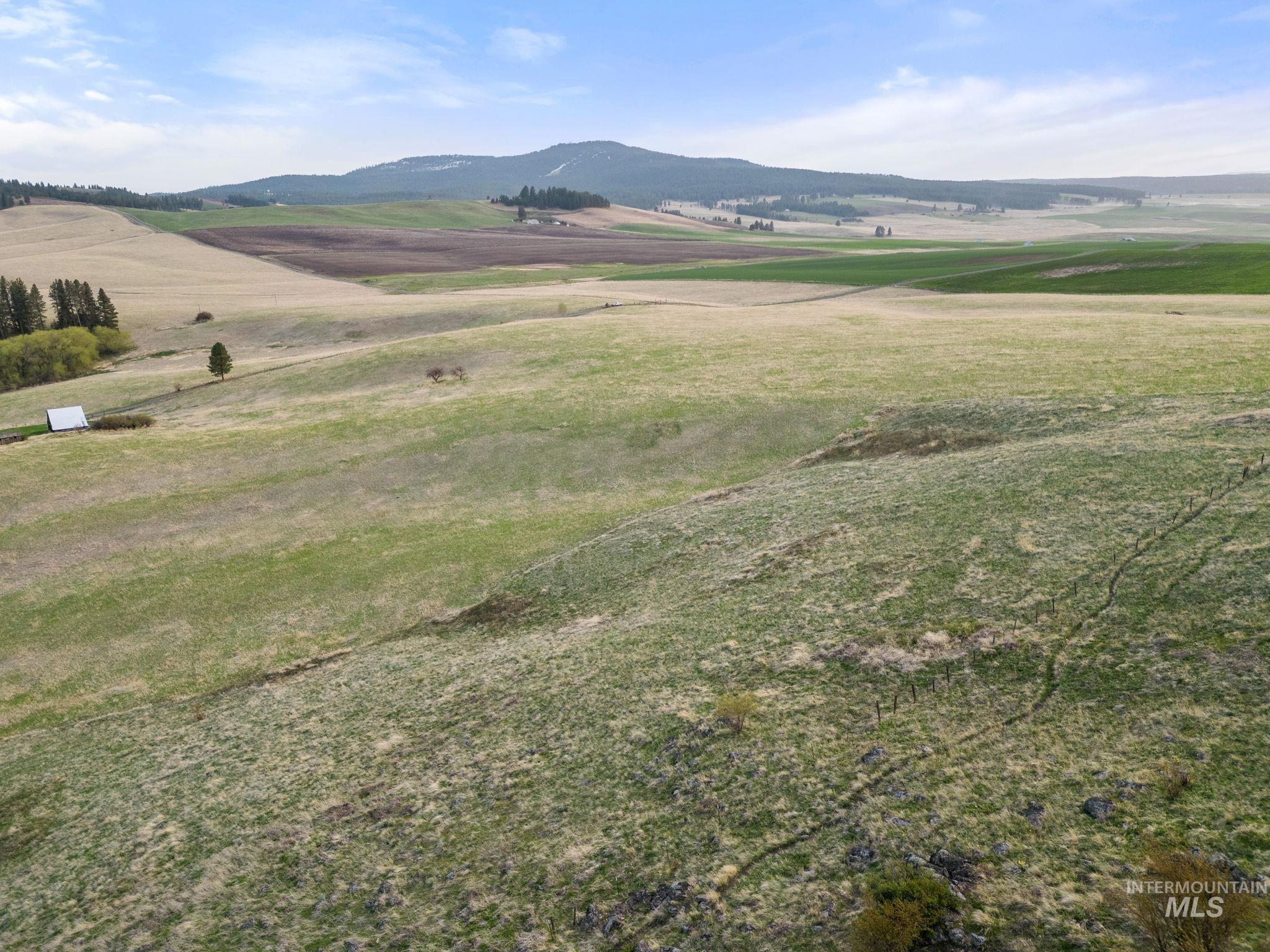 TBD Reservation Line Rd, CottonWood, Idaho image 46