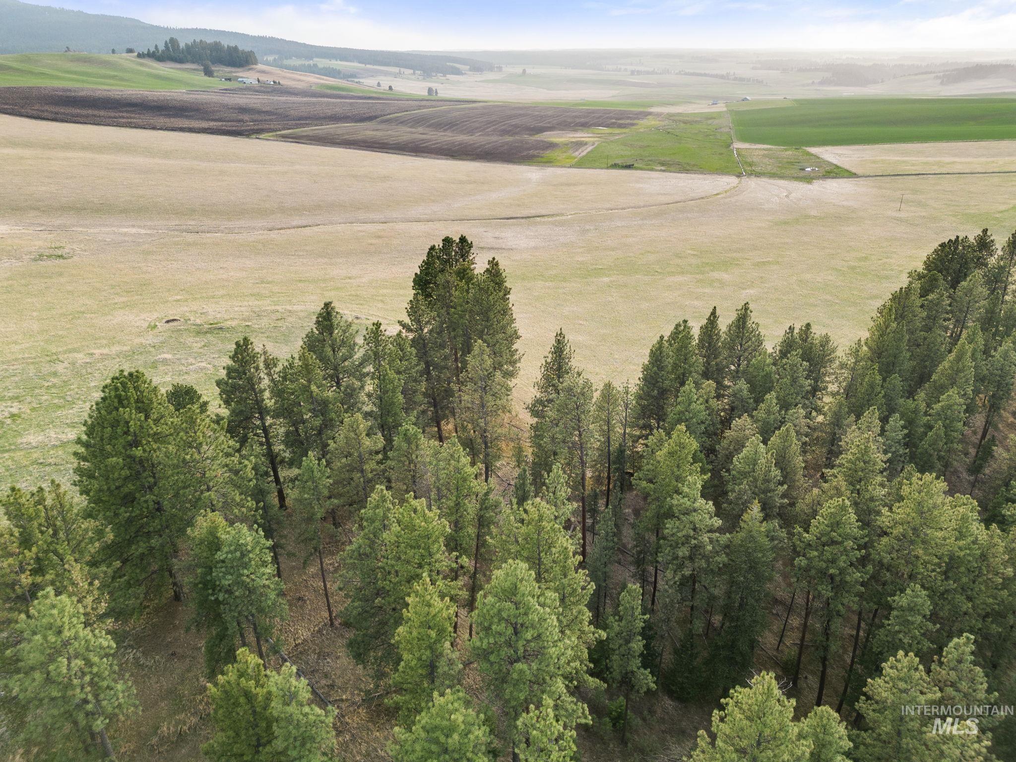 TBD Reservation Line Rd, CottonWood, Idaho image 6