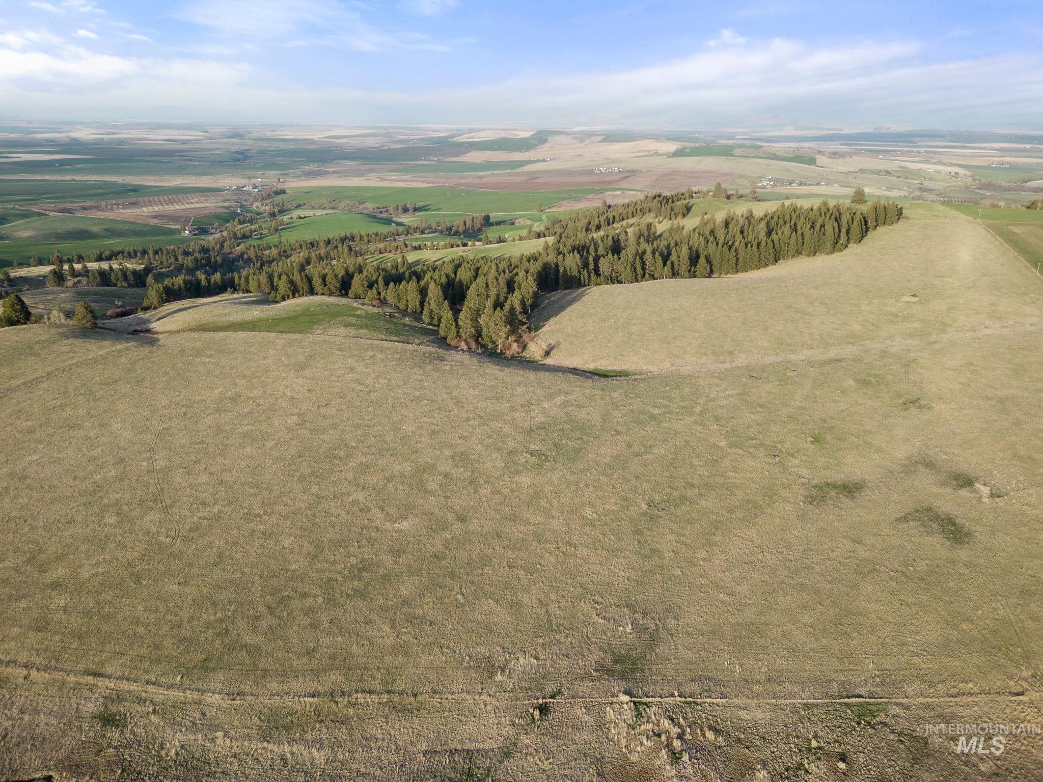 TBD Reservation Line Rd, CottonWood, Idaho image 28