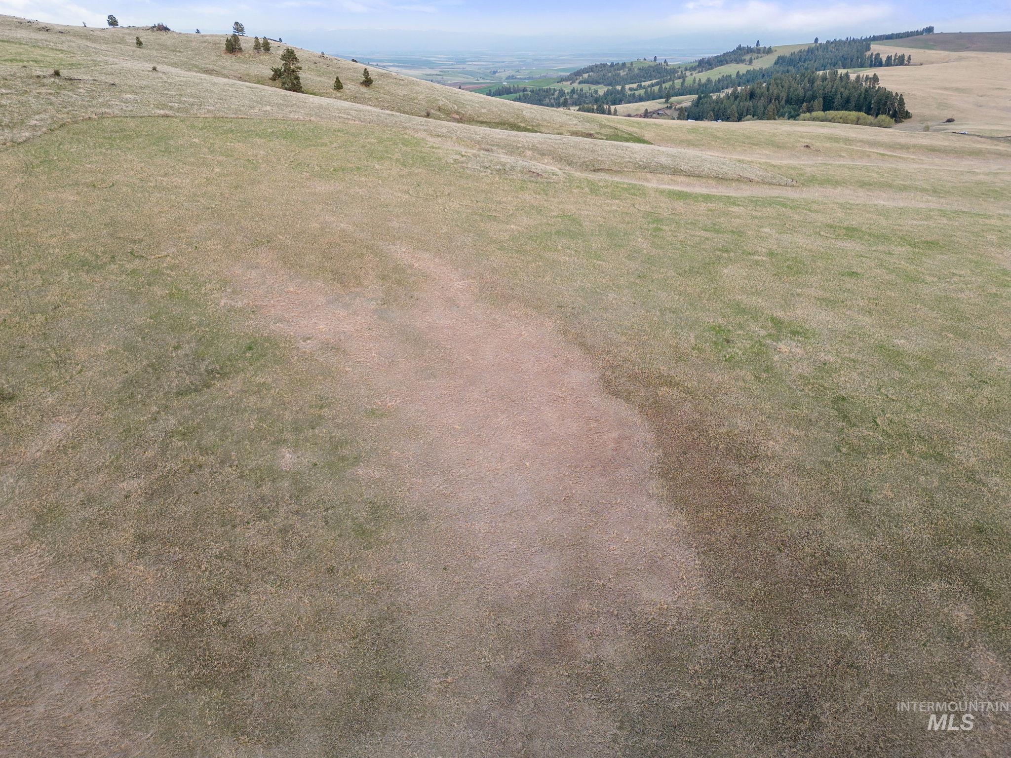 TBD Reservation Line Rd, CottonWood, Idaho image 39