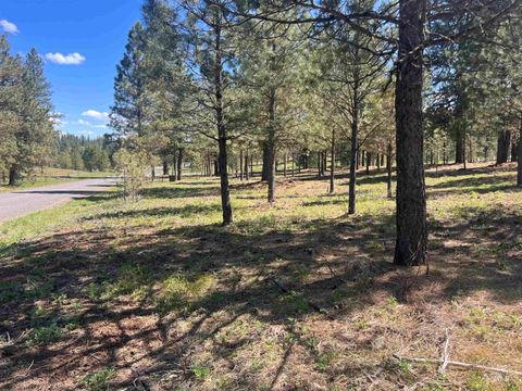 Photo of 44 Old Hwy 95, New Meadows, ID 83654 (MLS # 98986285)