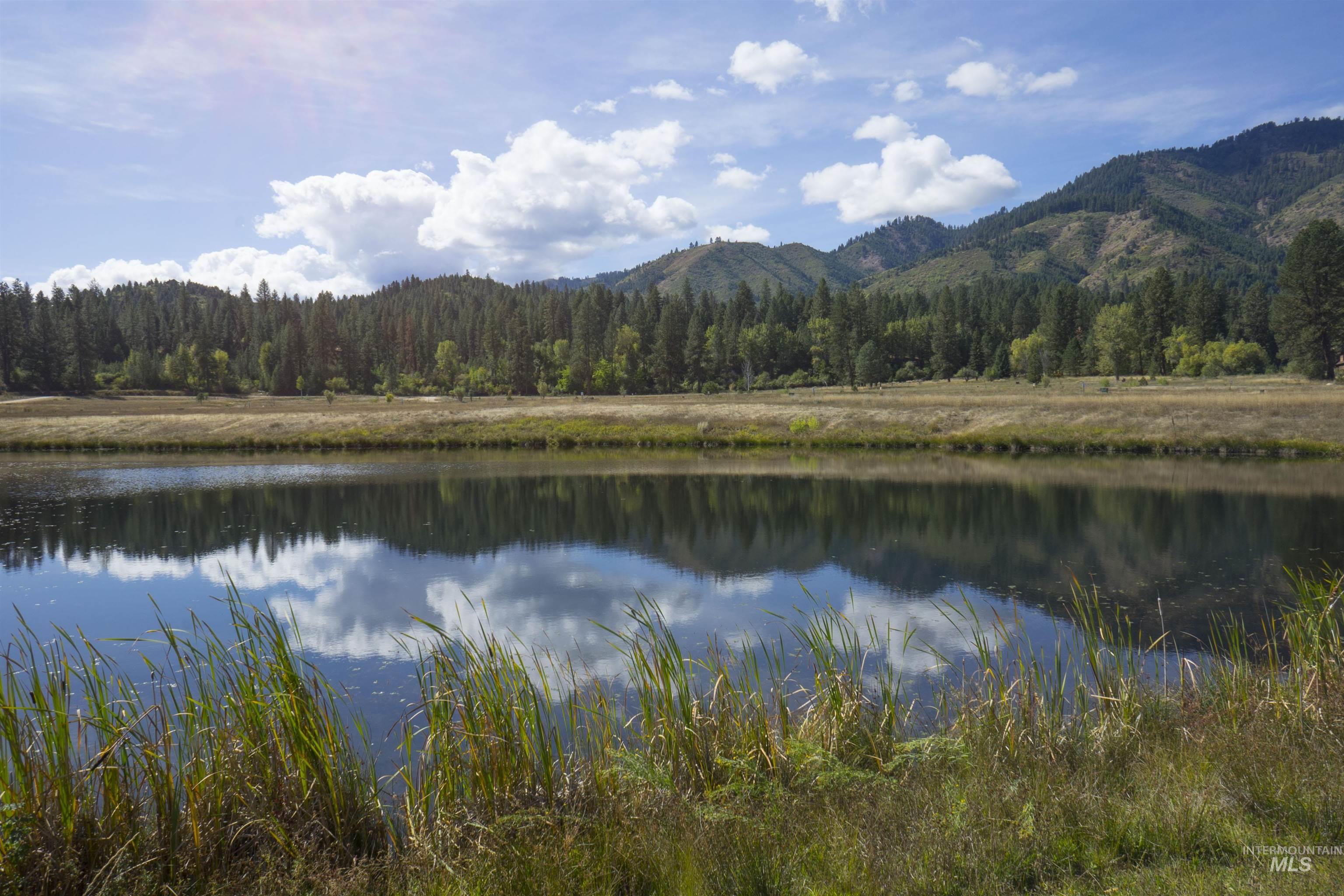 Water view featuring a heavily wooded area and mountains