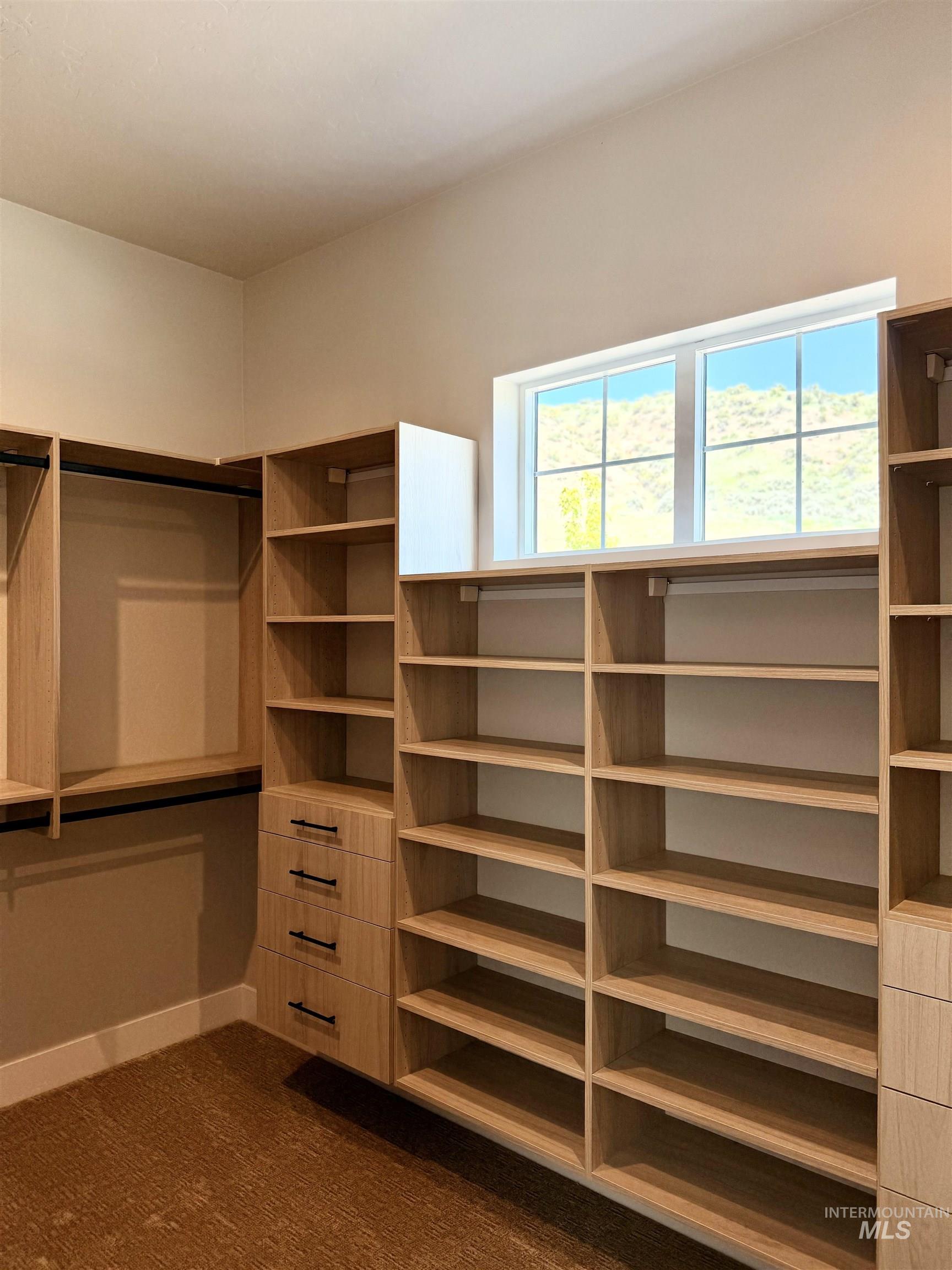 Spacious closet with dark carpet