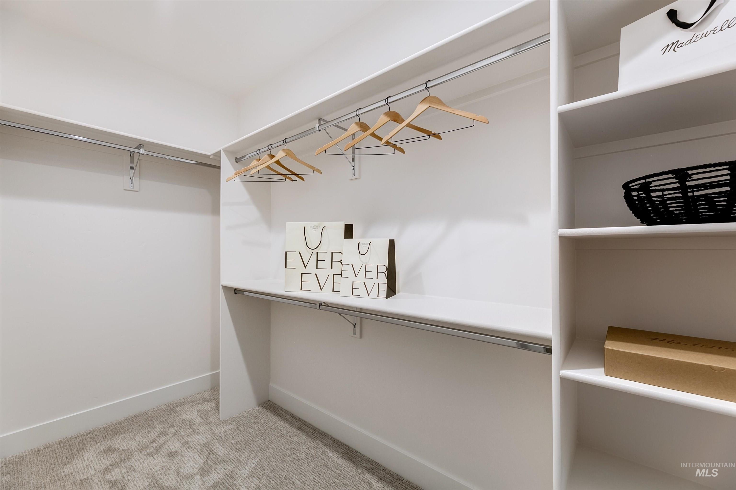 Walk-in closet featuring built-in shelving, chrome hanging rods, and light-toned carpet flooring