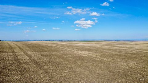 TBD Westlake Rd (80ac) Craigmont ID 83523