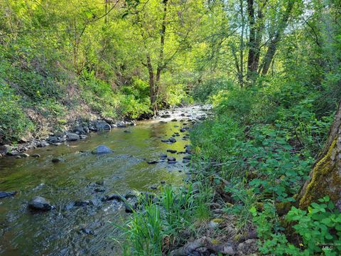 Photo of TBD Twisted Tree Lane, Peck, ID 83545 (MLS # 98938105)