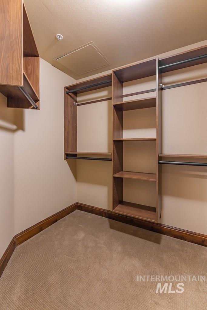 Walk in closet with light colored carpet