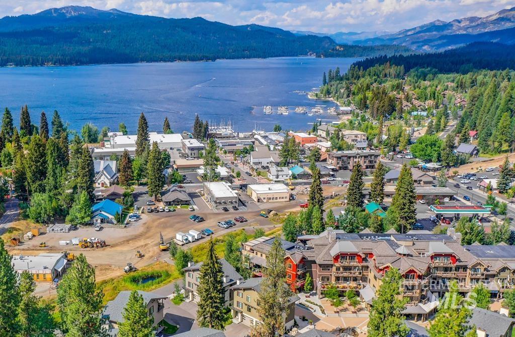 Aerial view of a water and mountain view