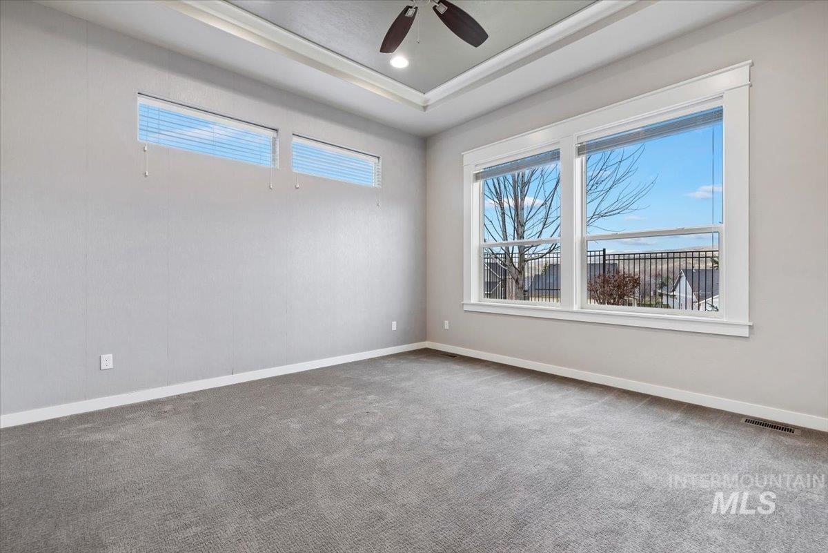 Empty room with plenty of natural light, carpet floors, a ceiling fan, and a tray ceiling