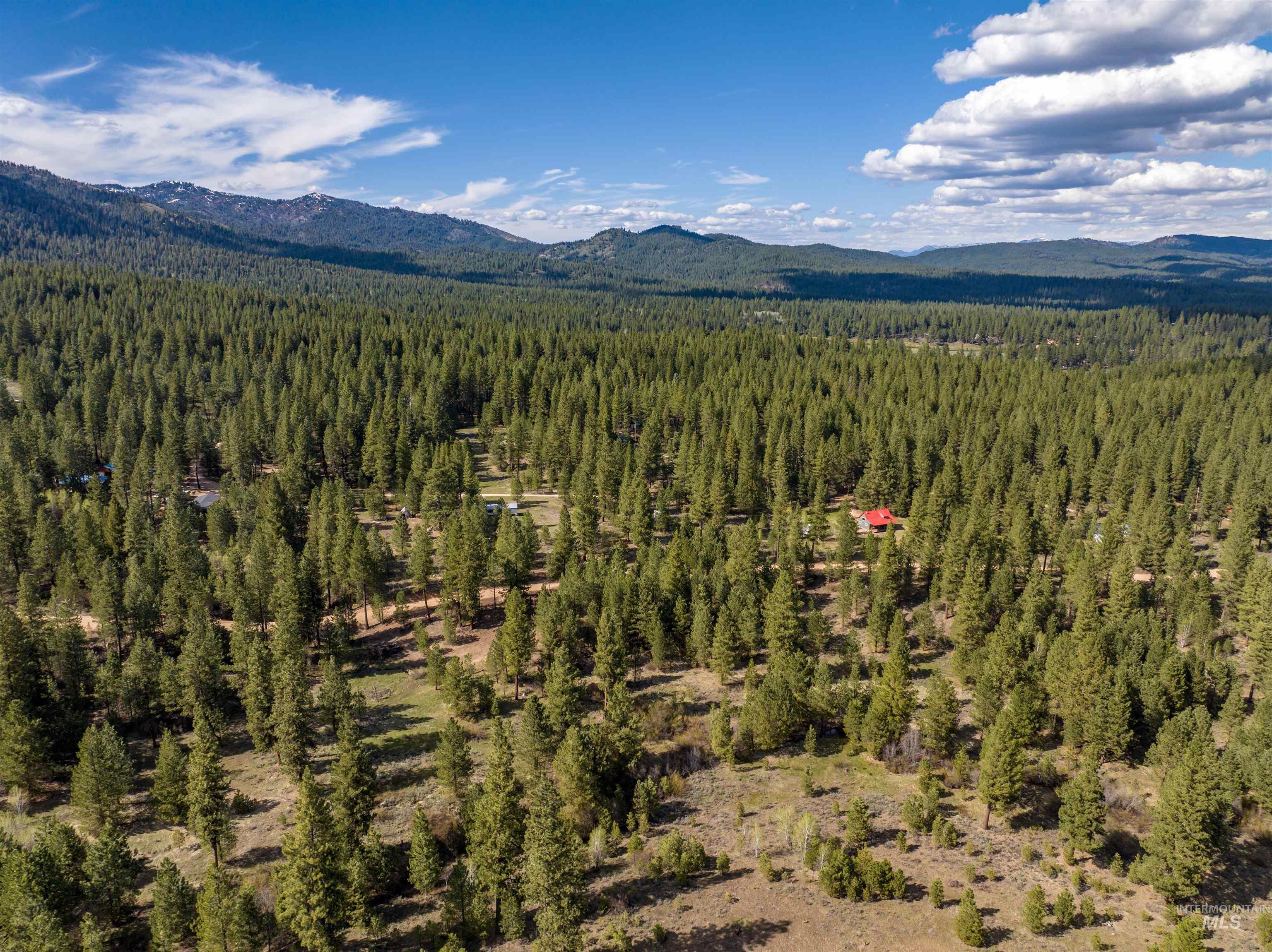 View of mountain background with a forest