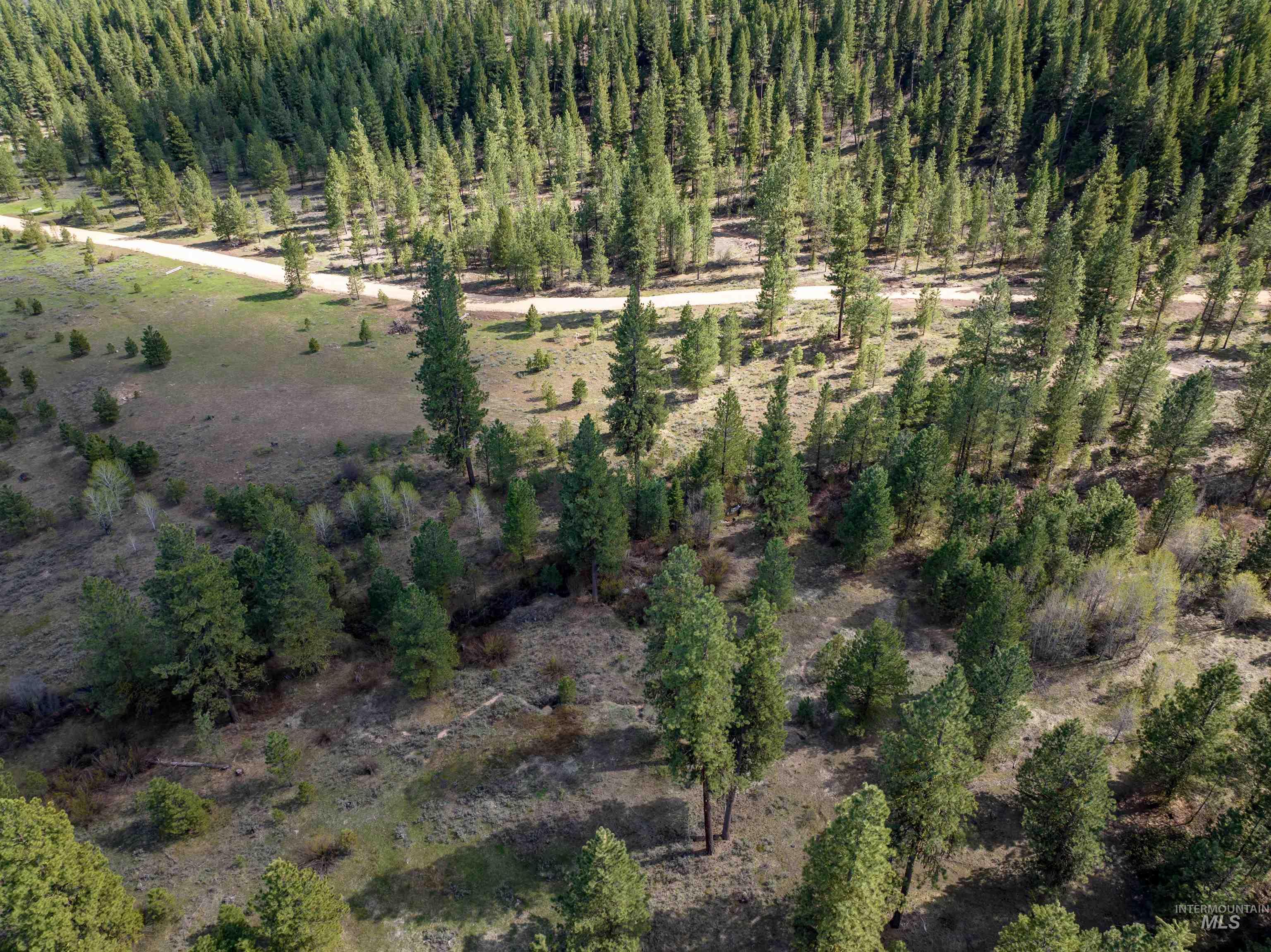 Aerial view of property's location with a forest