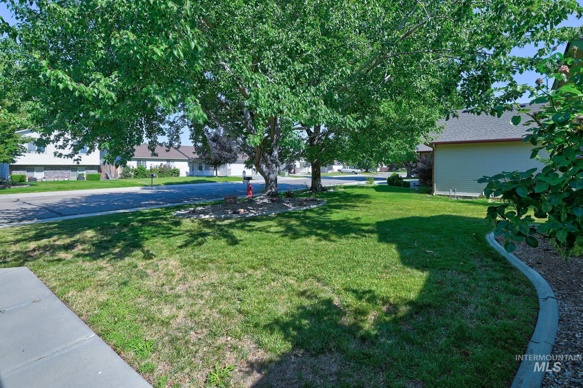 Lush green lawn with mature trees providing ample shade