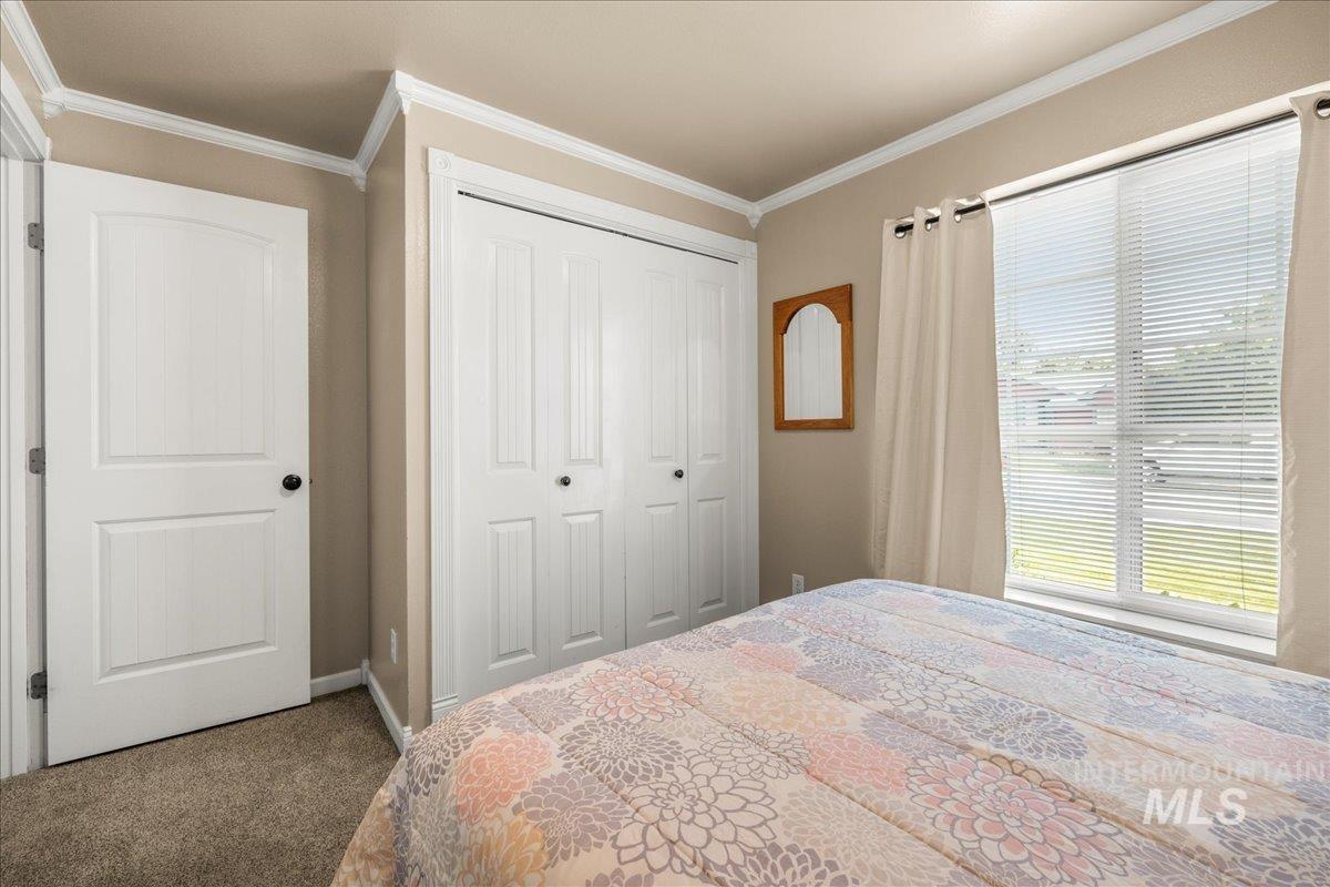 Bedroom featuring crown molding, carpet floors, and a closet
