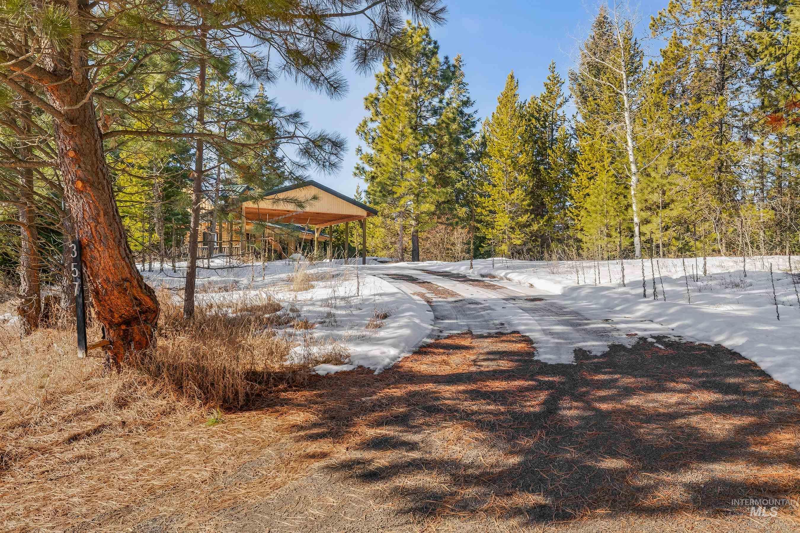 Driveway up to house