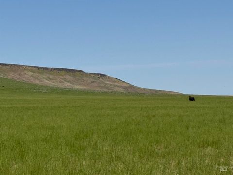 Hwy 81 Declo ID 83323