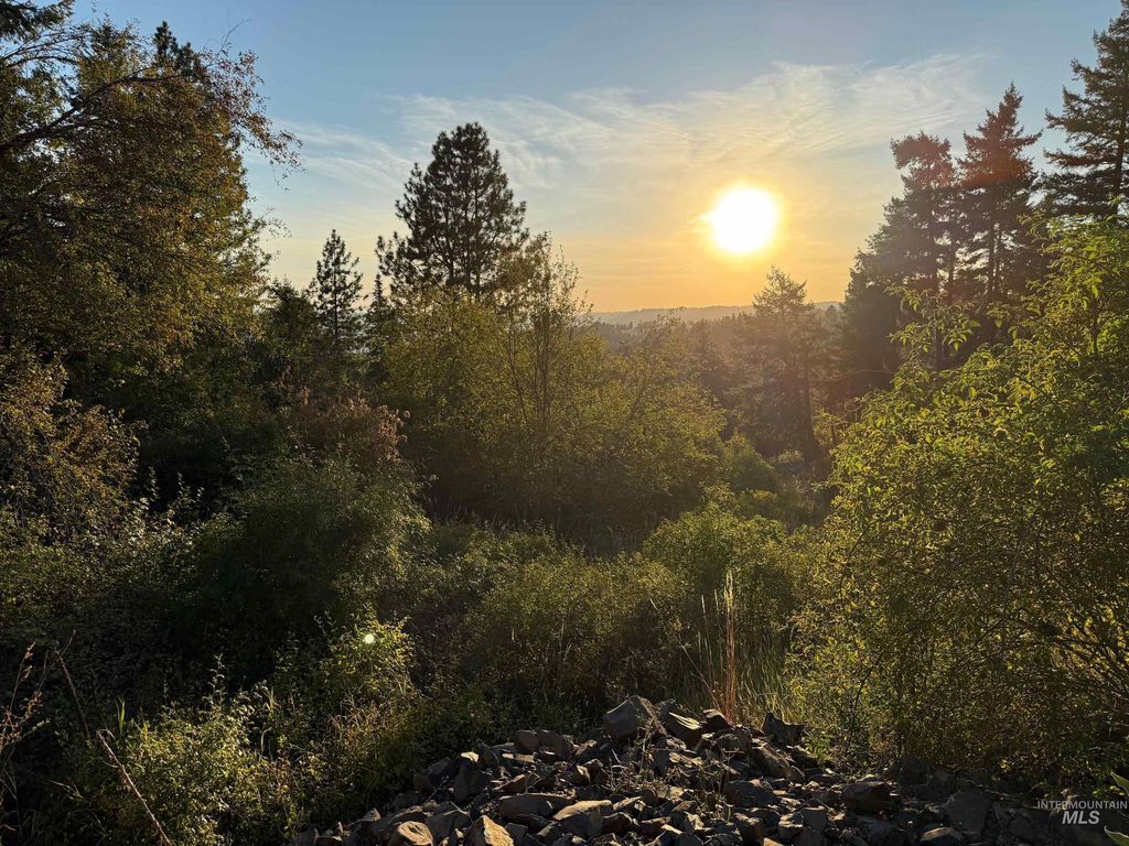 Photo of 993 Norton Knob Ln, Orofino, ID 83544 (MLS # 98975801)