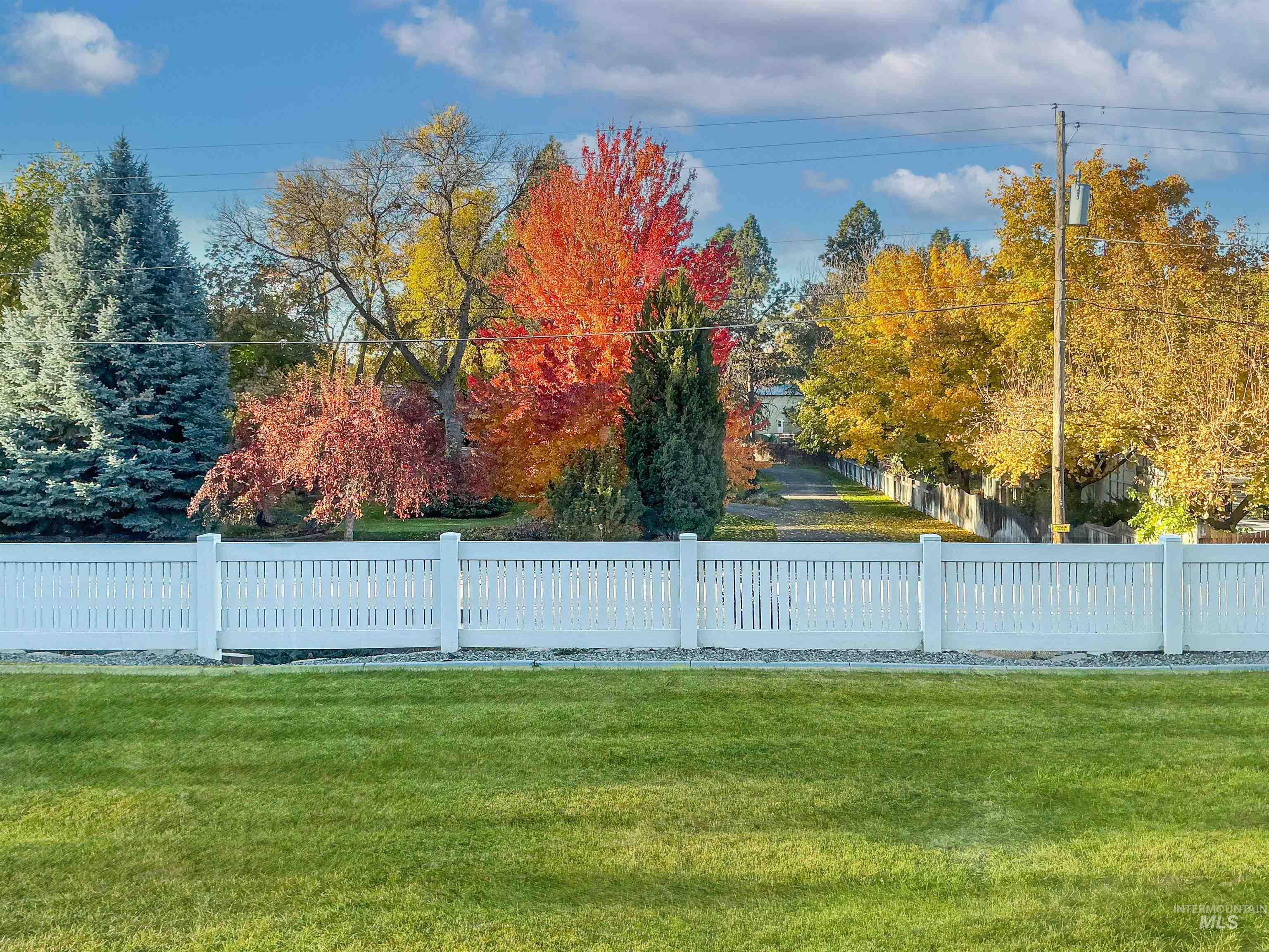 A preview of the view in the Fall