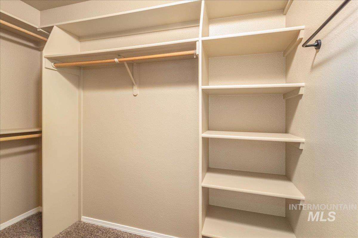 Spacious closet featuring carpet floors