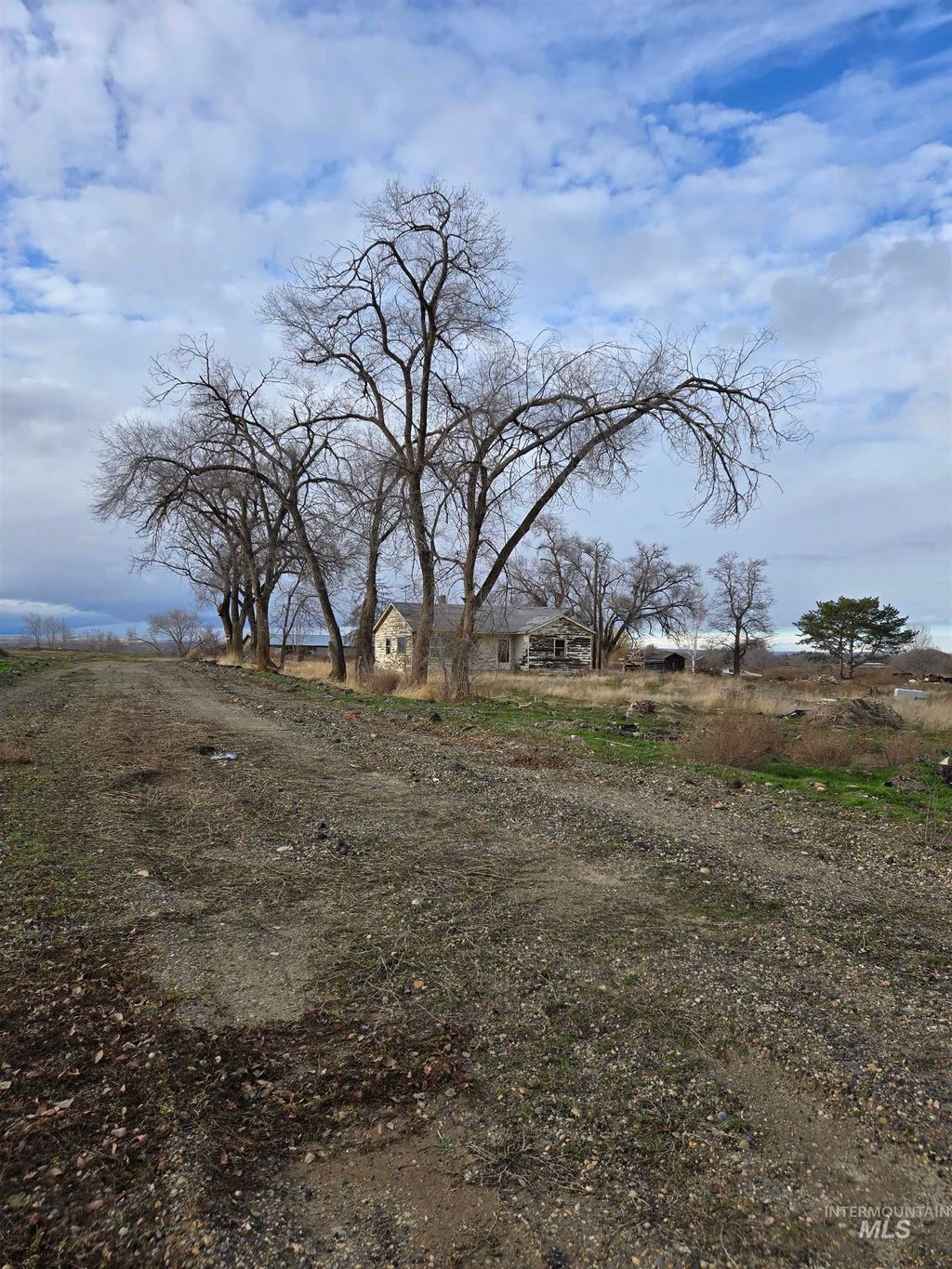 Photo of 3755 Hwy 95, Parma, ID 83660 (MLS # 98970256)