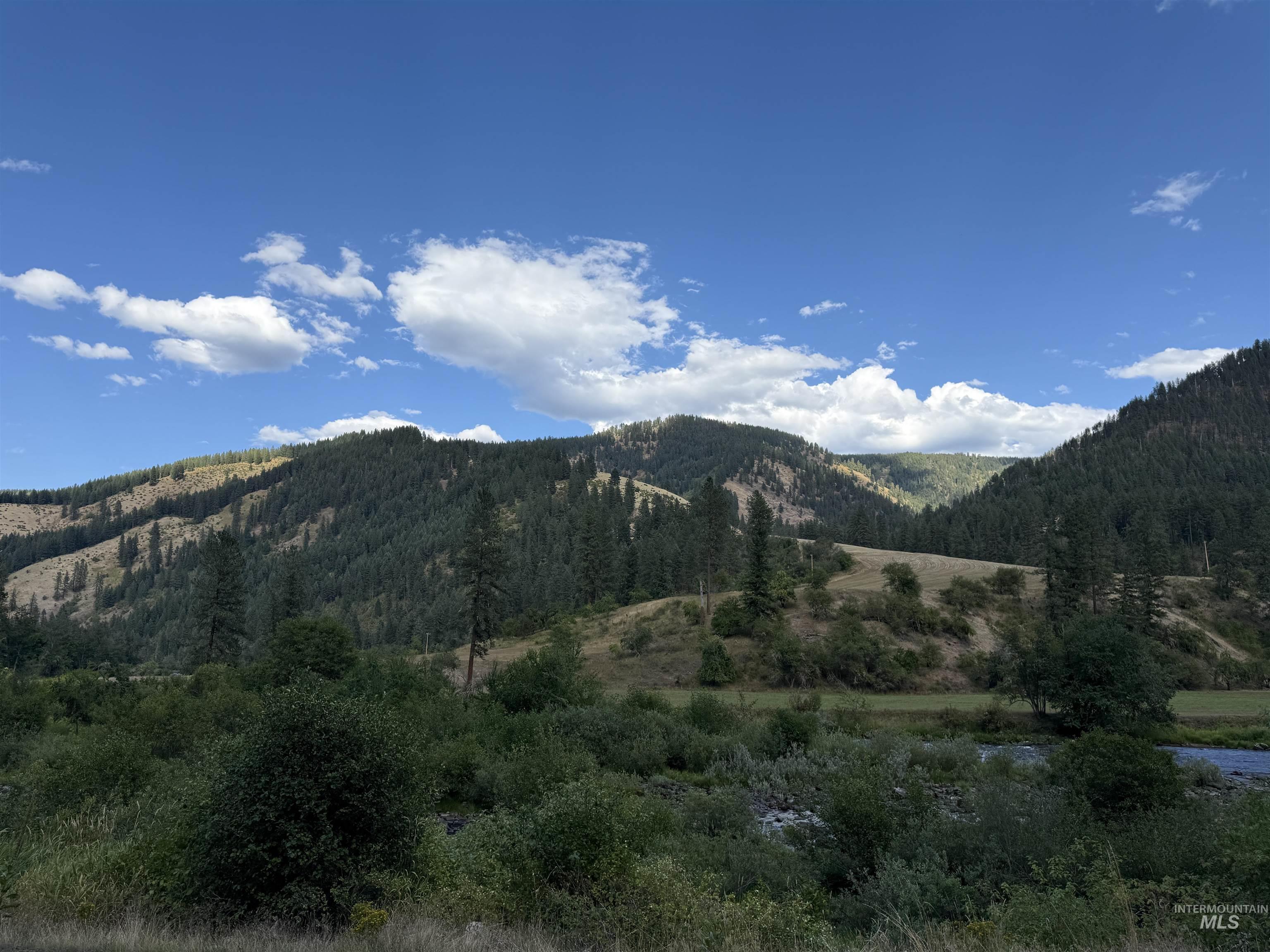 View from the building sight