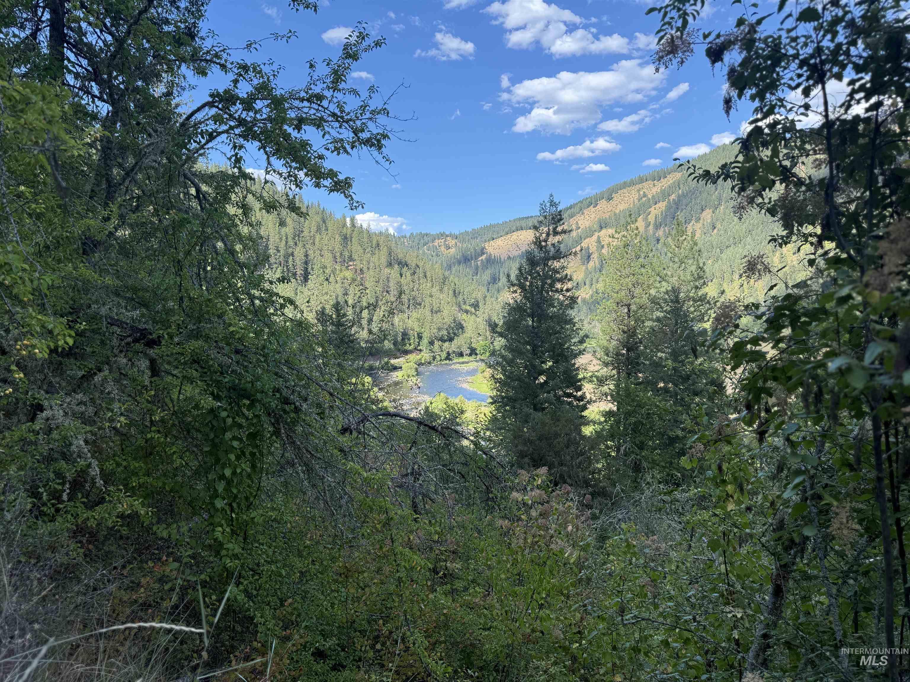 Mountain view with a forest and a nearby body of water